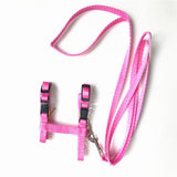 Pet Cat Collar Harness And Leash Adjustable