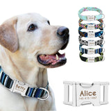 Dog Collar Personalized Nylon fluffy  Collar