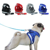 Dog  Harness