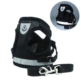 Dog  Harness