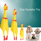 Screaming Chicken Squeeze Sound Toy for Dogs